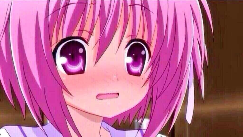 まったく小学生は最高だぜ