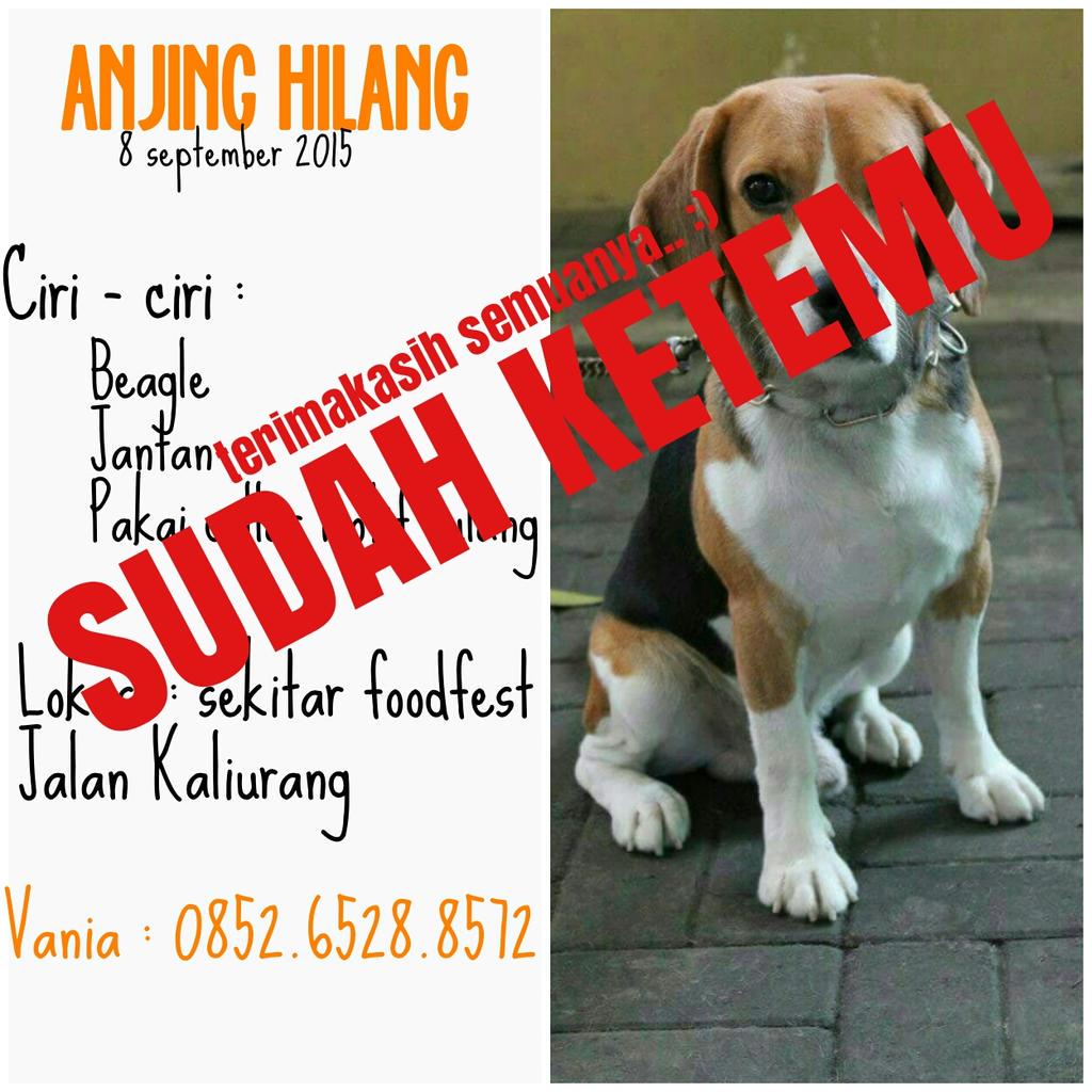 Mission completed.. Puji semesta sorro sudah ditemukan dalam keadaan sehat.. Terimakasih semuanya.. Terimakasih..