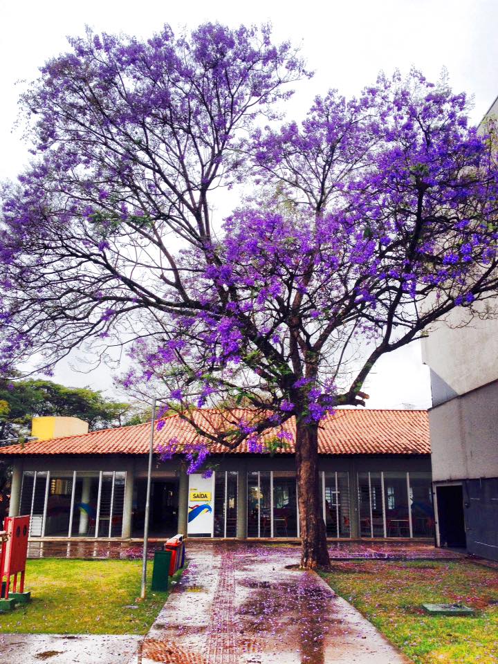 filhadeskinner's tweet photo. Vey esse lugar é muito lindo. #plugminas #plugrango #plugcores #natureza #setembro http://t.co/yXNo6pT9lU