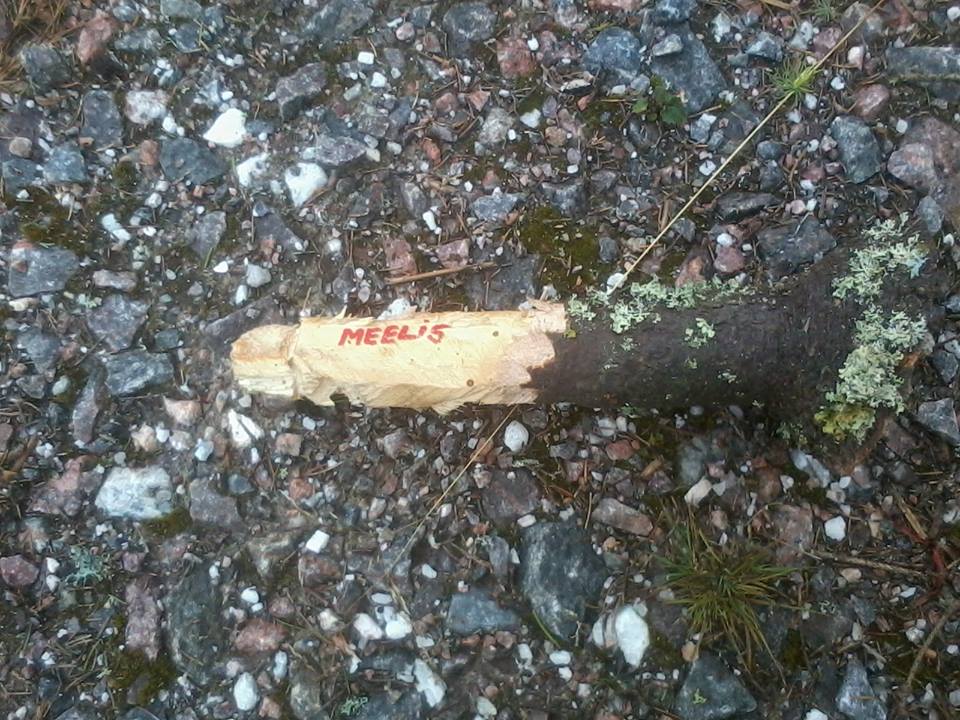 k_aarne's tweet photo. minu arvamus töökaaslasest. http://t.co/RJQX6NRP79