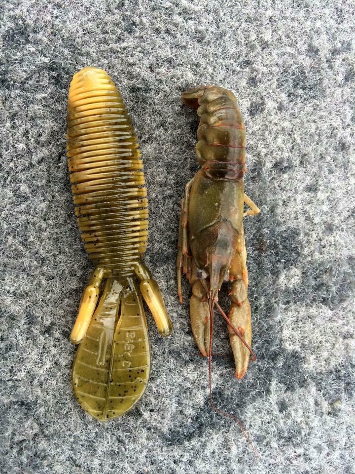 MISSILE_BAITS on X: Can you say match the hatch? Missile Baits Desert  Storm Baby D Bomb is the one on the left. @crewsmissile   / X
