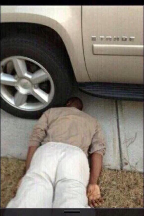 funthingy's tweet image. 