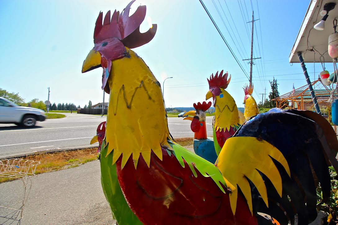 Andrea Brown on Twitter: "A 6-foot metal chicken. It's what's missing