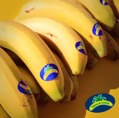 Plátano de Canarias 🍌 tweet media
