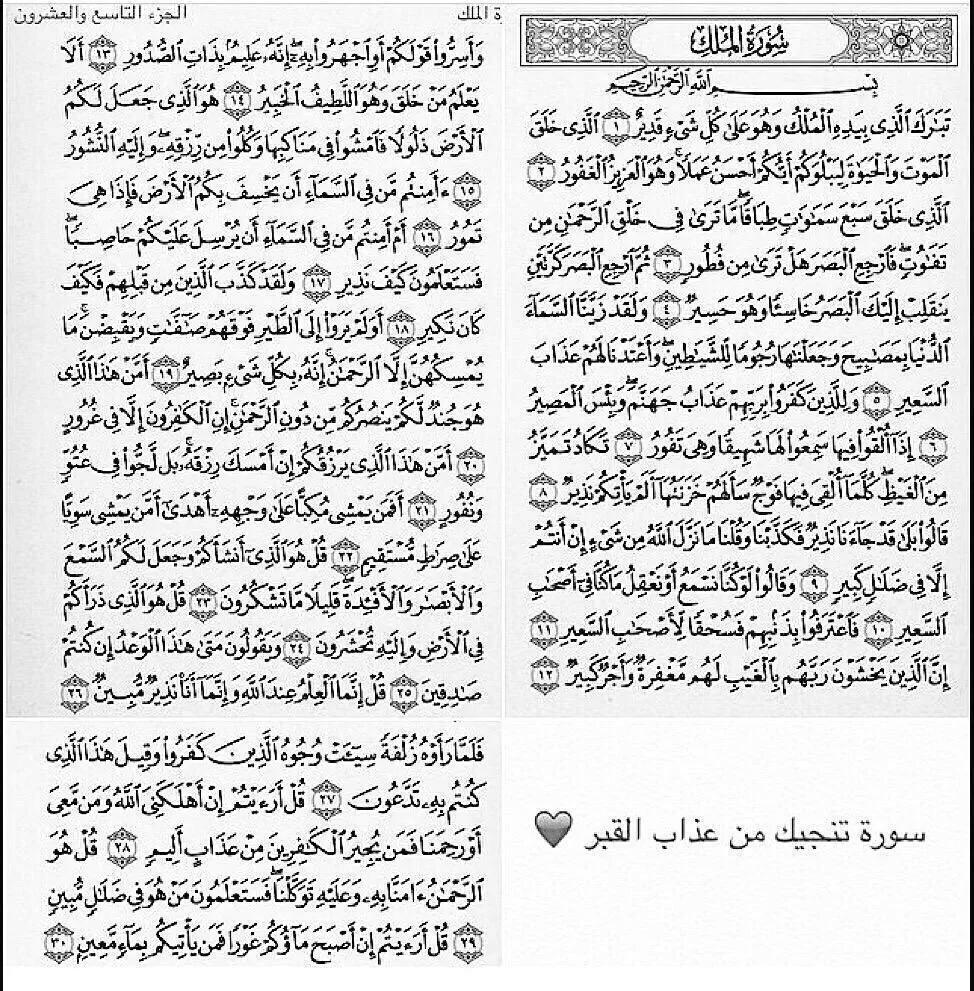Sir.Ziyad tweet media