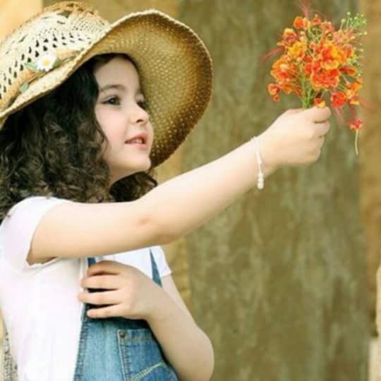 Tariq Alradfany (@talradfany) on Twitter photo 