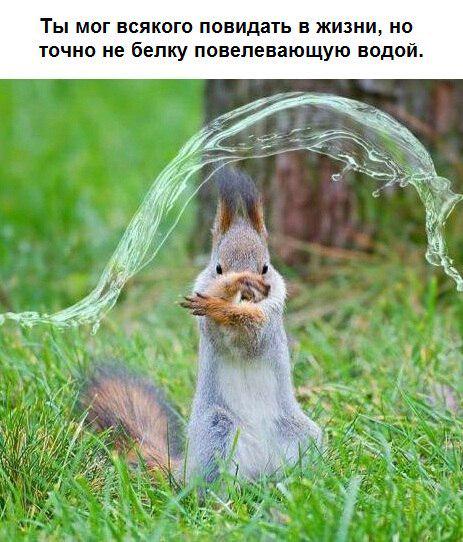 Социофоб (@socium_hate) on Twitter photo 