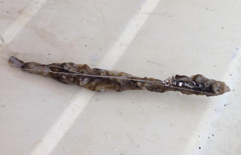 SooToday's tweet image. River invaded by honking mats of rock snot: A new invasive species has been discovered in… dlvr.it/C9F4fR