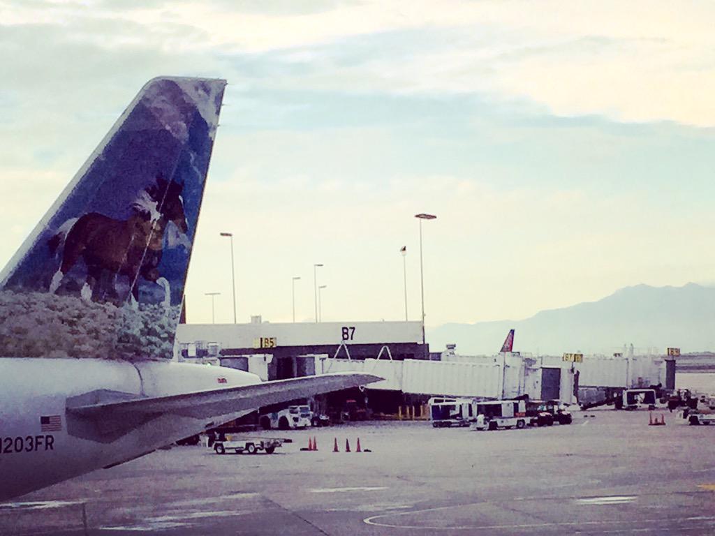 MWGrigg's tweet photo. @FlyFrontier Sally the Mustang SLC>ORD http://t.co/xcZdQtEj88