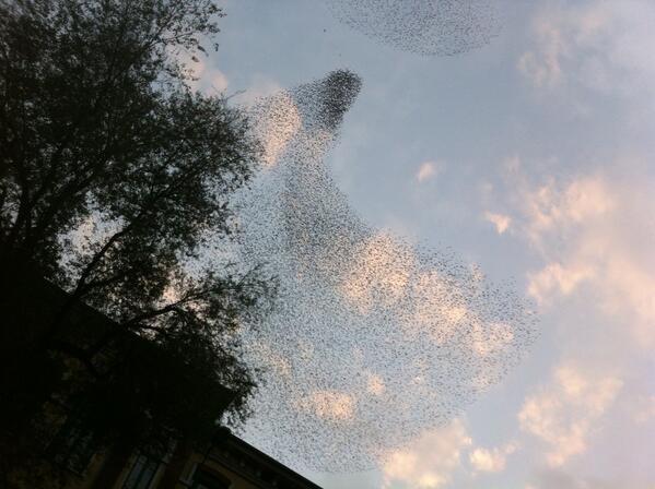 Cielo colmo di  tantissimi