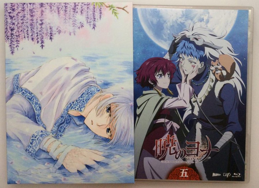 シンア 暁のヨナ がかわいい 青龍能力や過去 名言を紹介 反抗期もあった エンタメ 漫画blog