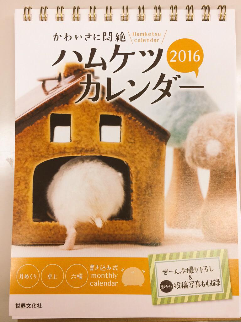かわいさに悶絶 ハムケツ せぶんちゃん Hamuketu Sebun Twitter