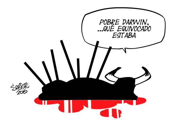 The Guardian: Bull is speared to death at Spanish festival bit.ly/1QgtWAg #MarcaEspaña #Spain