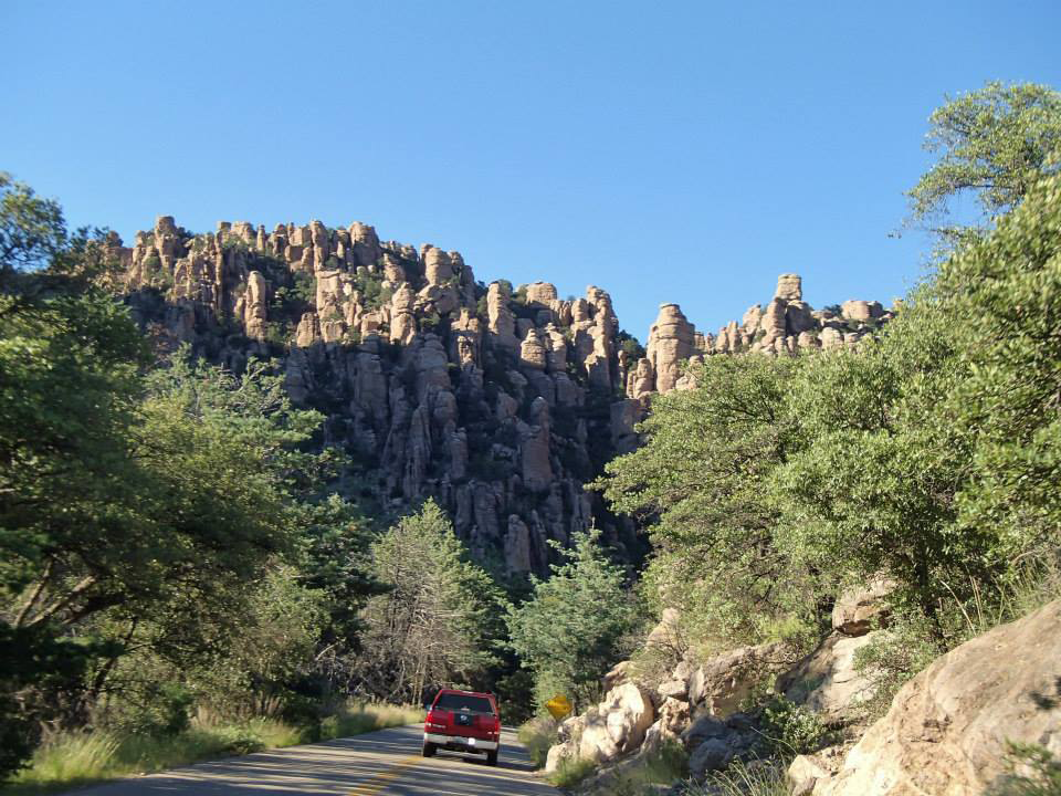 asu_behavior's tweet image. Some of our students are honing their #antskills in the 2015 Ant Course in Portal, Arizona