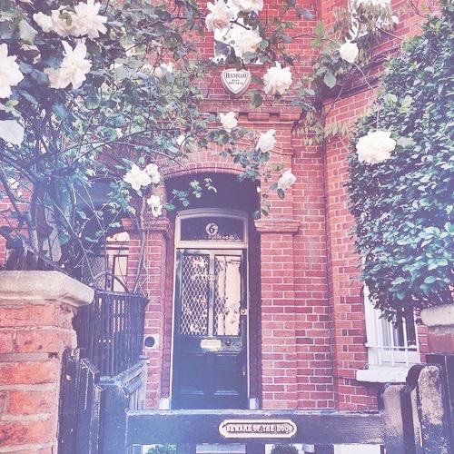 aestheticSJ's tweet photo. eunhyuk aesthetic (magic edition) ✨ http://t.co/aIZmcOUs5S