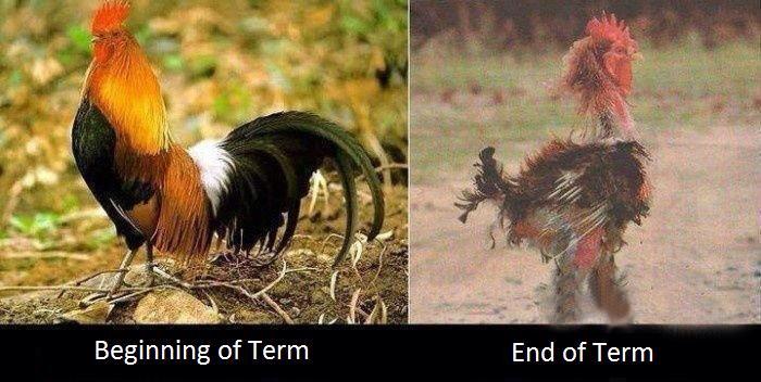 tuam_tuition's tweet photo. #๐#tuamtuition http://t.co/KYHI5xYMmw