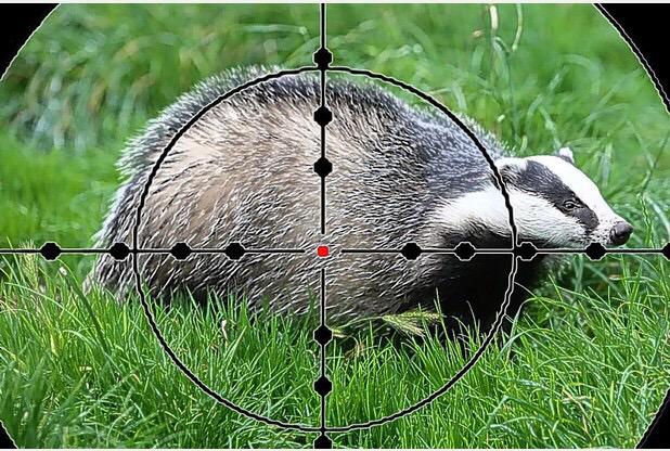 llantrisantrfc's tweet photo. Very productive session tonight and great numbers. Let's be having you badgers #blackarmy #rugby #localderby http://t.co/sZCa6YCeXG