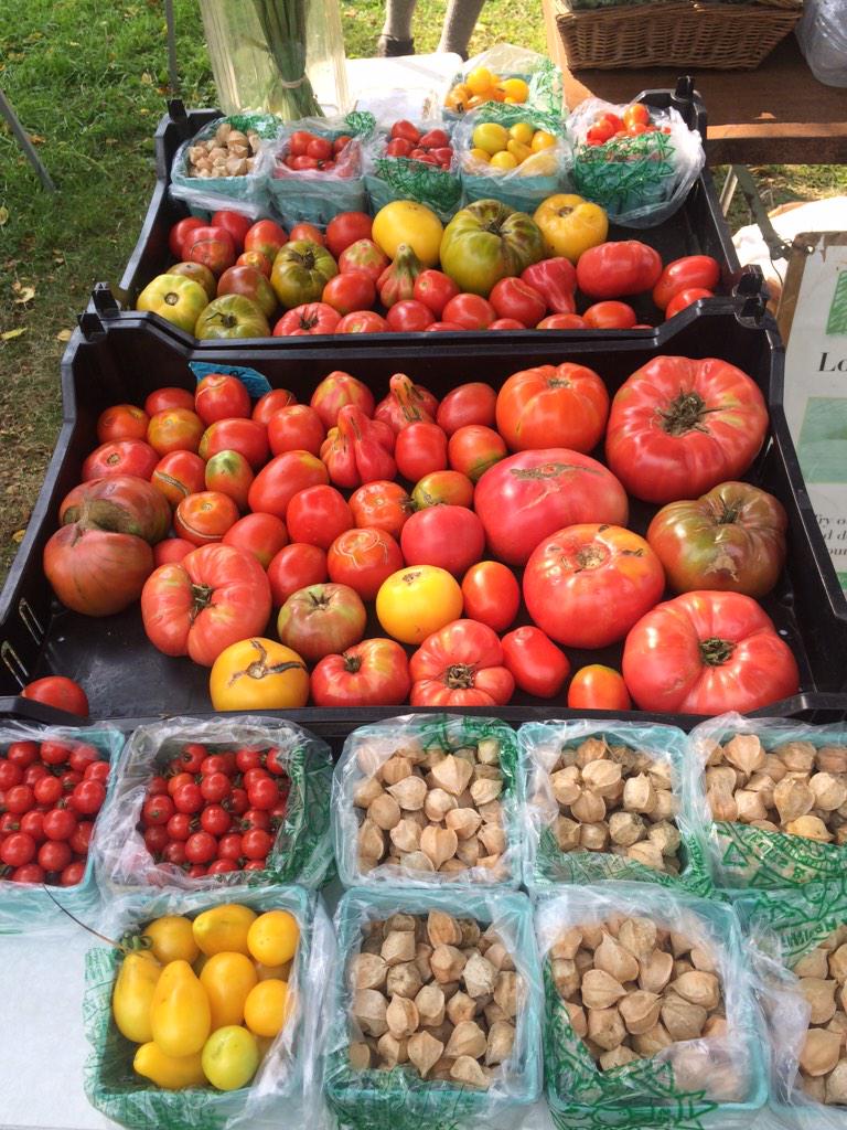 CobblesFarmMkt's tweet photo. School is back in session but the fun doesn't stop here at CFM! Come stop by from 4-7 for some delicious food! http://t.co/lQ9t2XmcS2