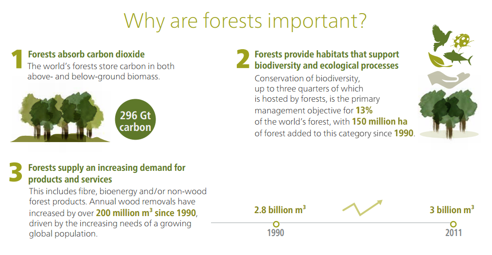 FAO's tweet photo. Why are forests so important? Check out our new #Forests2015 infographic: http://t.co/XMeVYoXJk2 http://t.co/YzJuTOEPAH