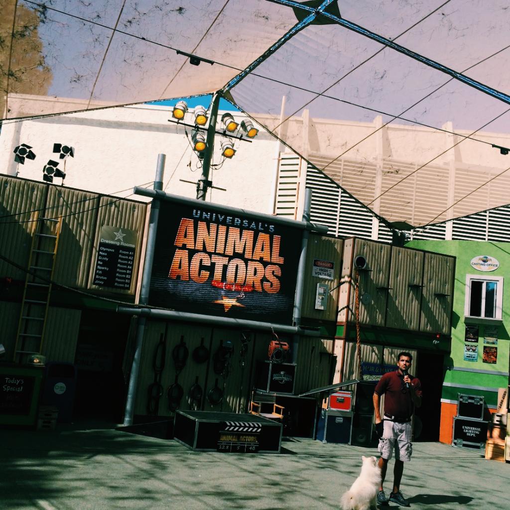 Favorite animal actor? 🐶🐱🐔🐷🐧🐭