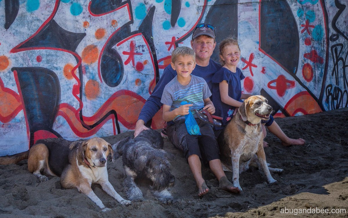 abugandabee's tweet image. #Graffiti shade on an urban beach...
abugandabee.com/?p=2991 #parenting #kids #beachlife #dogs