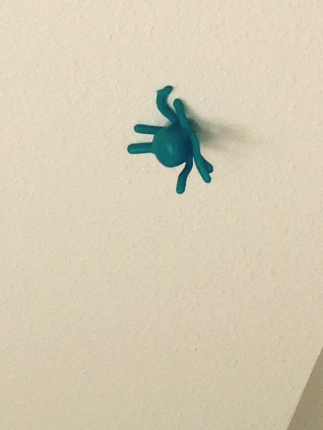 abnormalemma's tweet photo. THE OCTOPUS WONT COME DOWN SOS http://t.co/vCpFGCPBIU