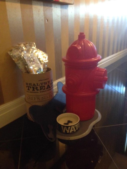 So cute for pets! #MonacoBaltimore http://t.co/TcCrDzH85S<a href="/tag/monacobaltimore"class="tags">#MonacoBaltimore</a>