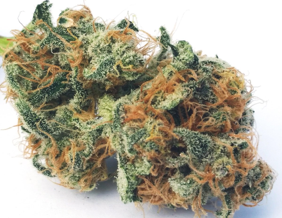 Elev8 Seeds on Twitter: "Sour Patch Kiss :) #budporn ...