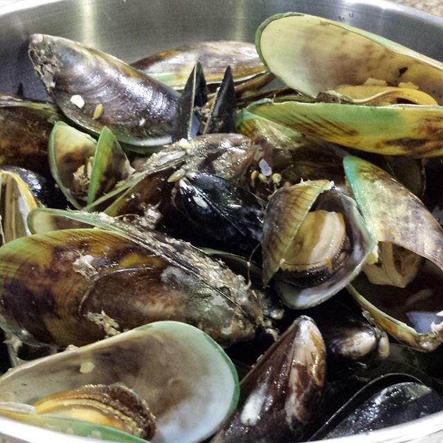 7101dogdaot's tweet image. ift.tt/1VMekYJ #sophorntim Green Oysters :) #bombdiggity #imfat #hacking #startuplife #hustling #caffine …