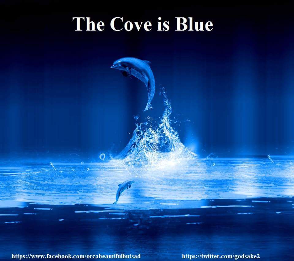 thesafecove's tweet photo. #9Blue 9 BLUE COVE DAYS #CanItGetAnyBetter #tweet4taiji #Tweet4Dolphins #OpHenkaku http://t.co/JNg7oNqivx