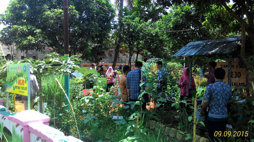 Bambang Pramusinto On Twitter Penilaian Taman Herbal Bejo