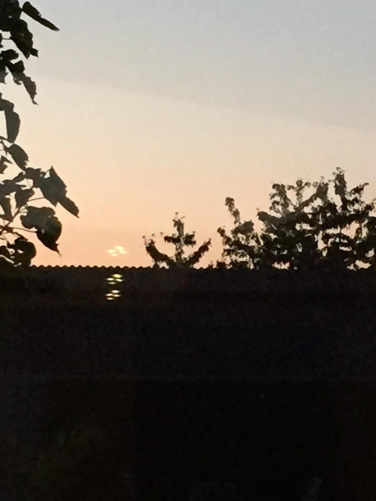 Senne210's tweet photo. Ankerboom http://t.co/sBldrc1yqF
