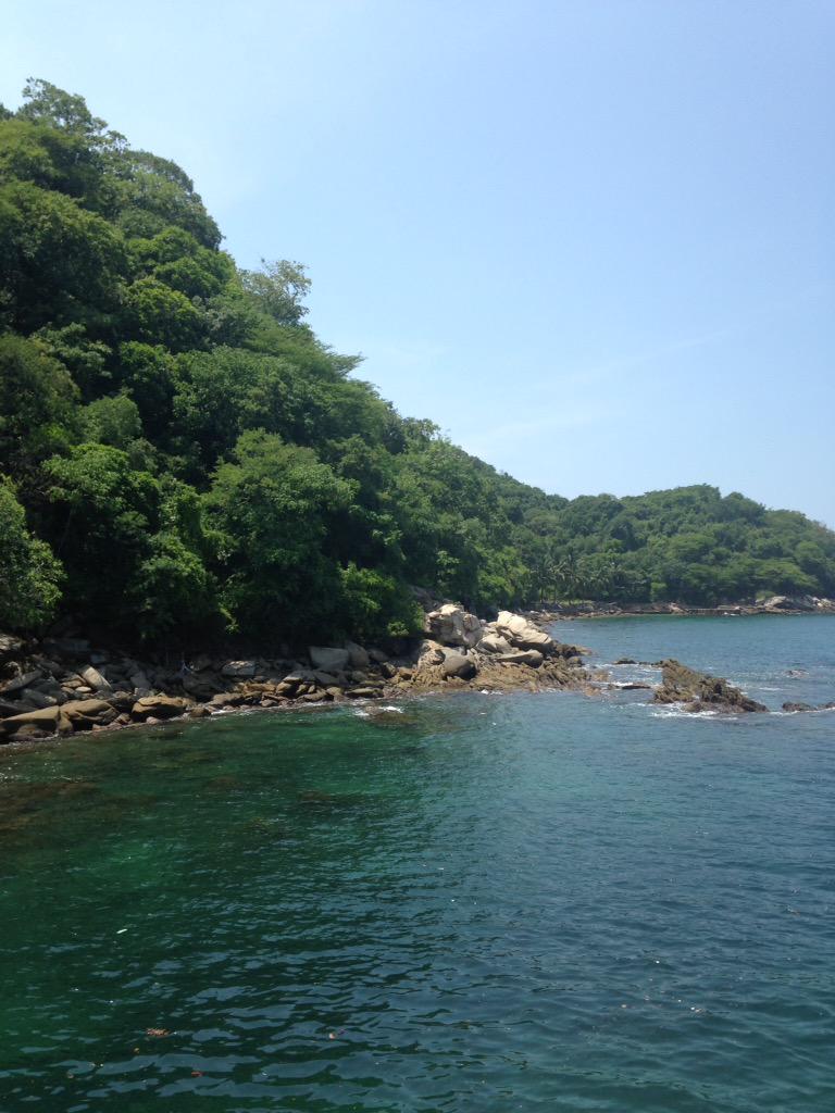 elsa_2624's tweet photo. Te has encontrado con la naturaleza vallartense? #lovepv have you seen Puerto vallarta natural resources? http://t.co/q5nkDBgHCf