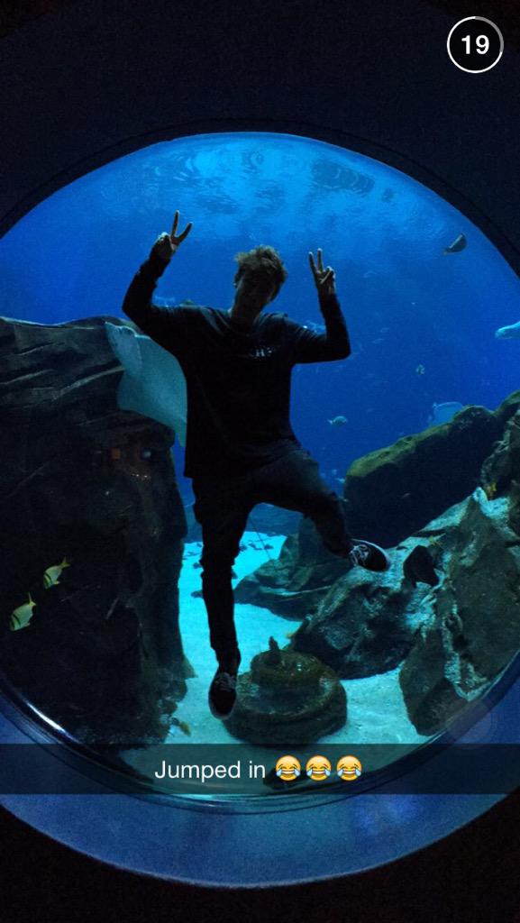 CashBRA's tweet photo. My love!! 😍💙 @camerondallas via Snapchat http://t.co/ODPvaa62k0