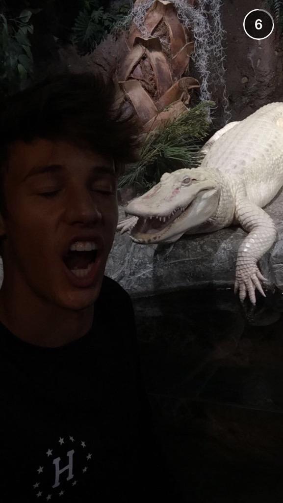 CashBRA's tweet photo. My love!! 😍💙 @camerondallas via Snapchat http://t.co/ODPvaa62k0