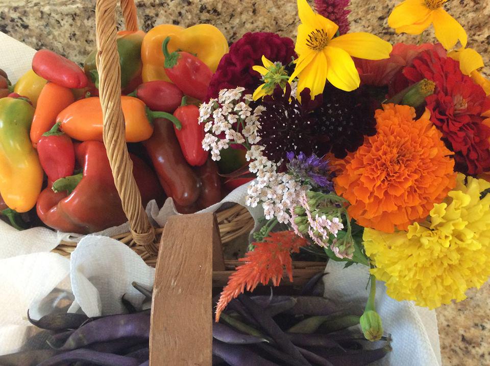 DunwaldFarm's tweet image. 