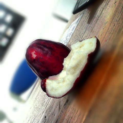 BUNDA6969's tweet photo. Jambu Jamaica http://t.co/eCOj2f9ISY