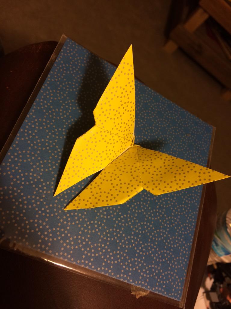 wclibraryazle's tweet photo. Do you origami? Have you always wanted to try? We've got books for that! #paperygoodness #rainydayfun http://t.co/CKyixb1FnR