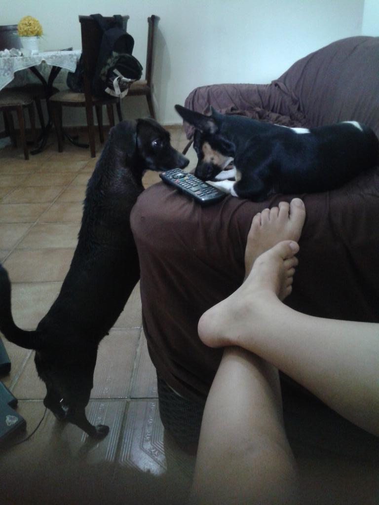 babinigga's tweet photo. saudade desses dois. Kk <3 http://t.co/T9d8B3JrO8