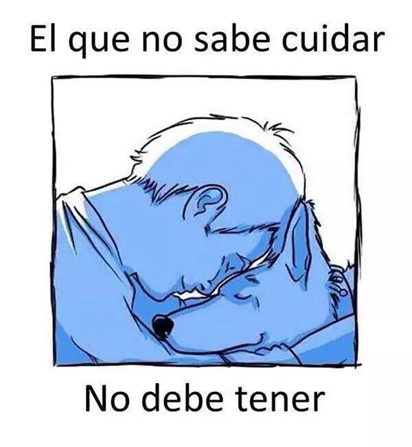 perritocallejer tweet picture