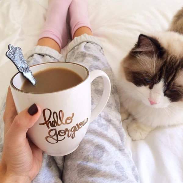 JanaTosic1's tweet photo. Posle neprospavane sportske 🎾 noci, solja tople kafe uvek prija 👌🍵 #DobroJutro http://t.co/vs8WAEDgMs