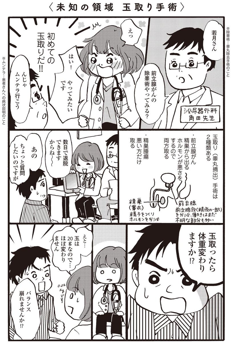 金玉を取る手術の様子を描いています。→未知の領域 玉取り手術|まどか26歳、研修医やってます! http://t.co/AGKvk6n5MP #コミ劇 