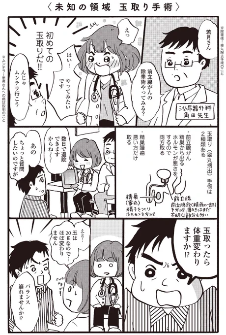 金玉を取る手術の様子を描いています。→未知の領域 玉取り手術|まどか26歳、研修医やってます! http://t.co/AGKvk6n5MP #コミ劇 