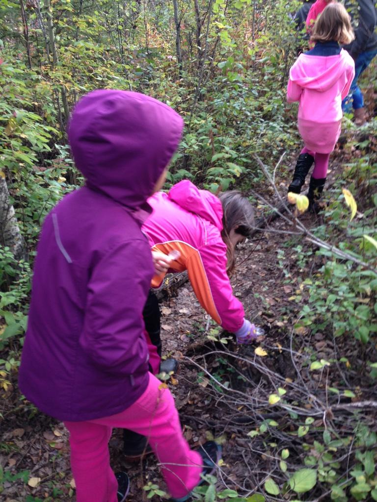 4kWestview's tweet photo. 4K Looking at Decomposers +Natural Waste on Nature Walk today with Mrs.Foss @WestviewFMPSD http://t.co/oWrzZM63Hp