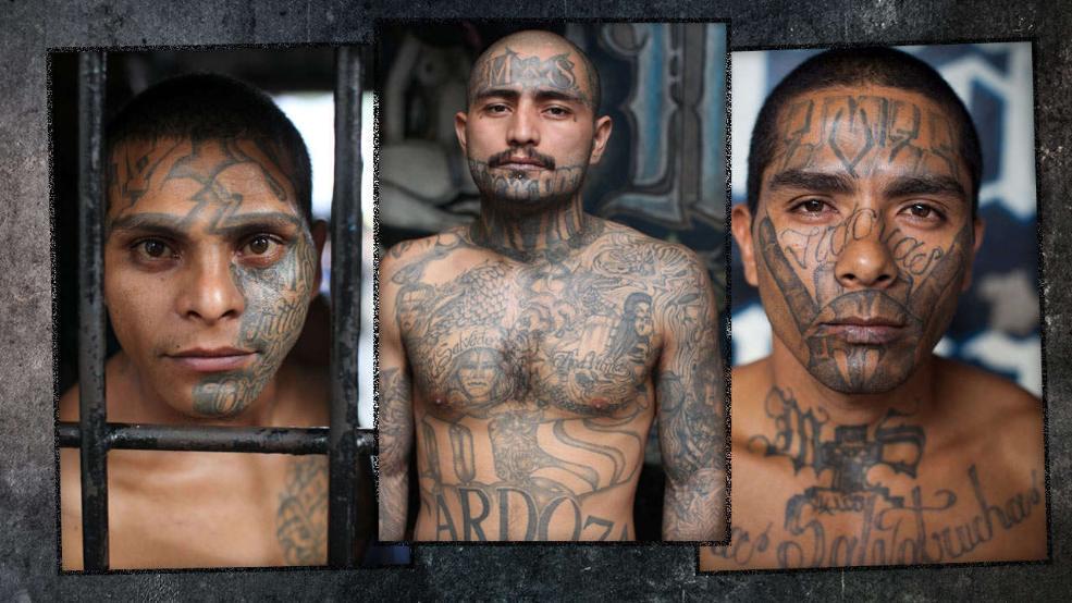 Mara Salvatrucha (MS13) sind die Gangsterbosse von El Salvador. Selbst