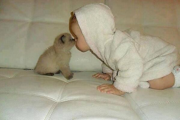 WarmingCuteness tweet picture