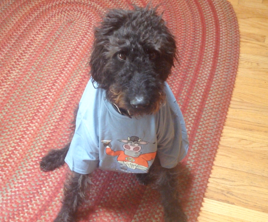 BeefSumo's tweet photo. #SumoSwag going out to our Kickstarter backers this week! Share your swaggypix! http://t.co/pUtdsS9Mn0