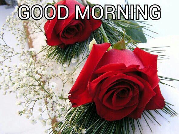 Biswanath Das On Twitter Jyotipunjabi2 Lyricistmeenu