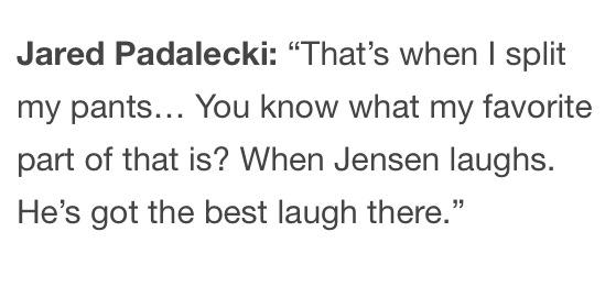 softchrismartin's tweet image. 