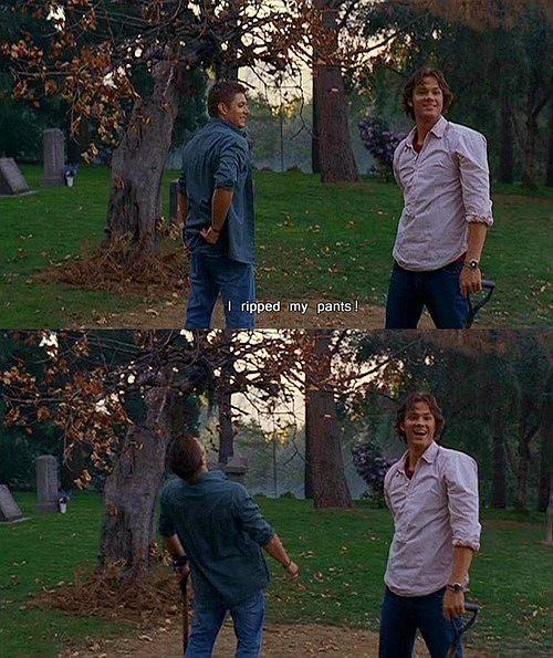 softchrismartin's tweet image. 